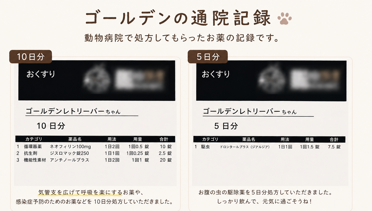ゴールデンの通院記録・処方内容