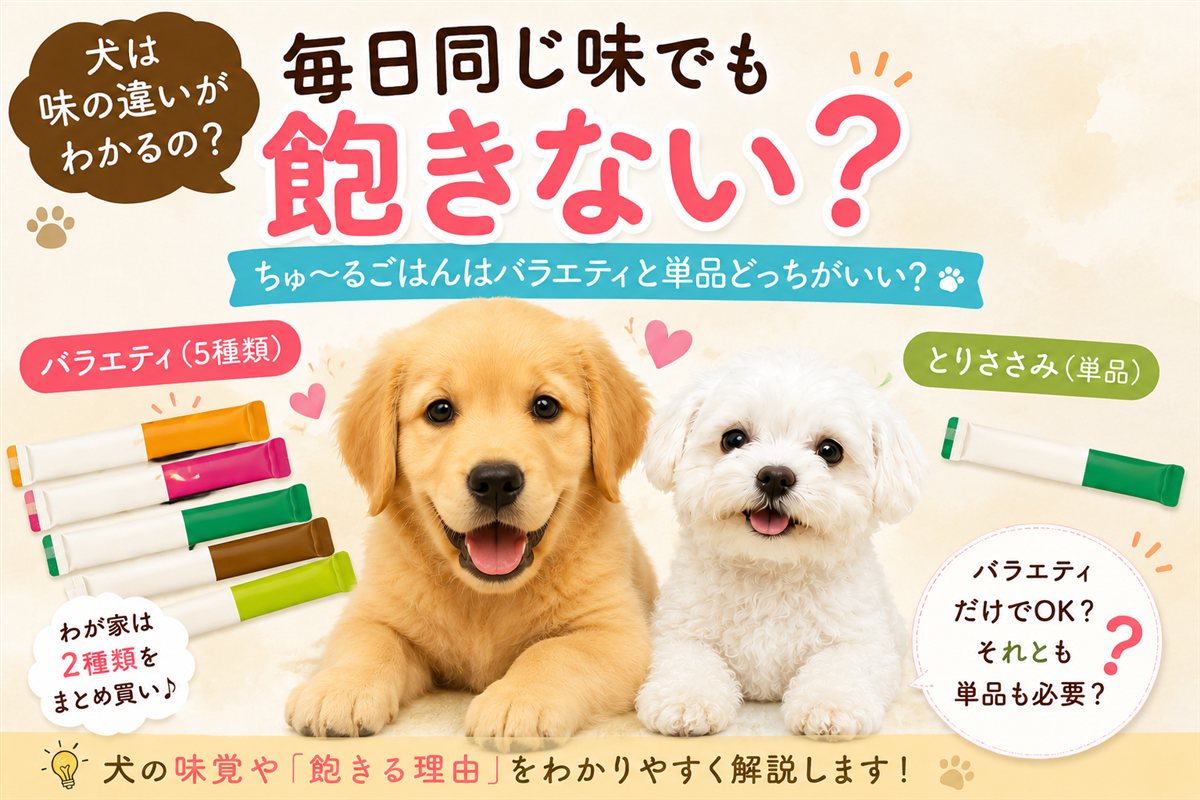 犬は毎日同じ味でも飽きない？ちゅ〜るごはんはバラエティと単品どっち？