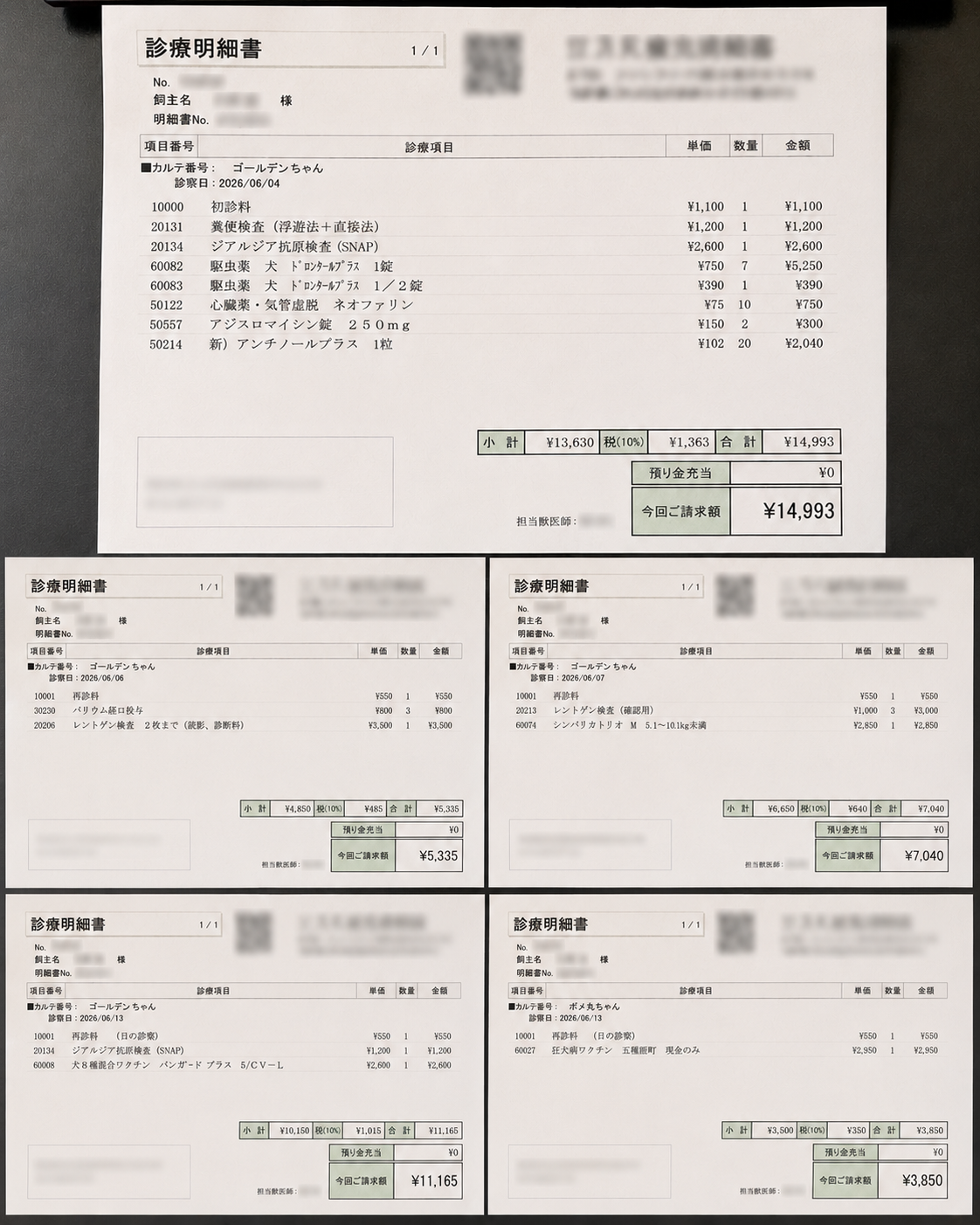 診療明細書