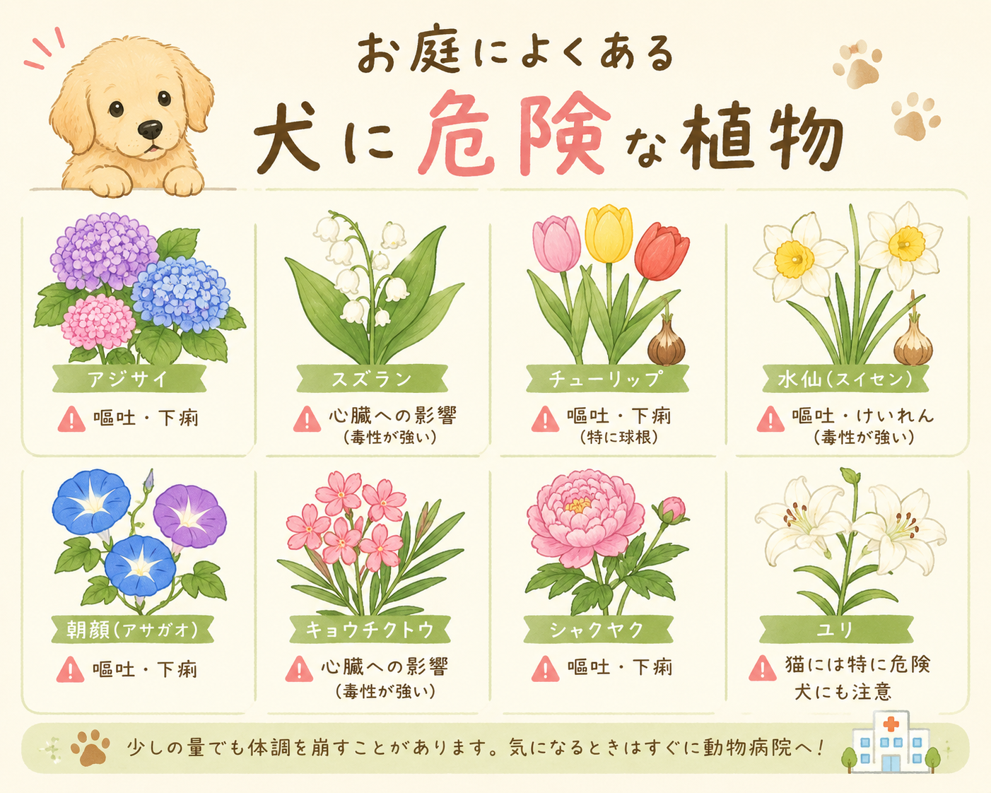 犬に危険な植物